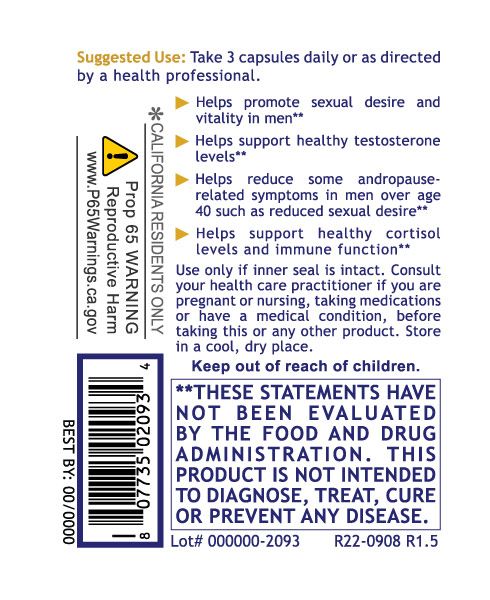 Testosterone Premium