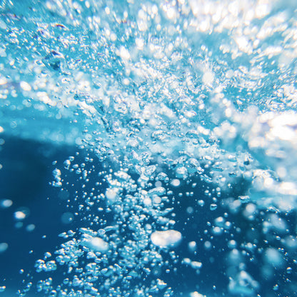 B12-ND™ (Fermented)