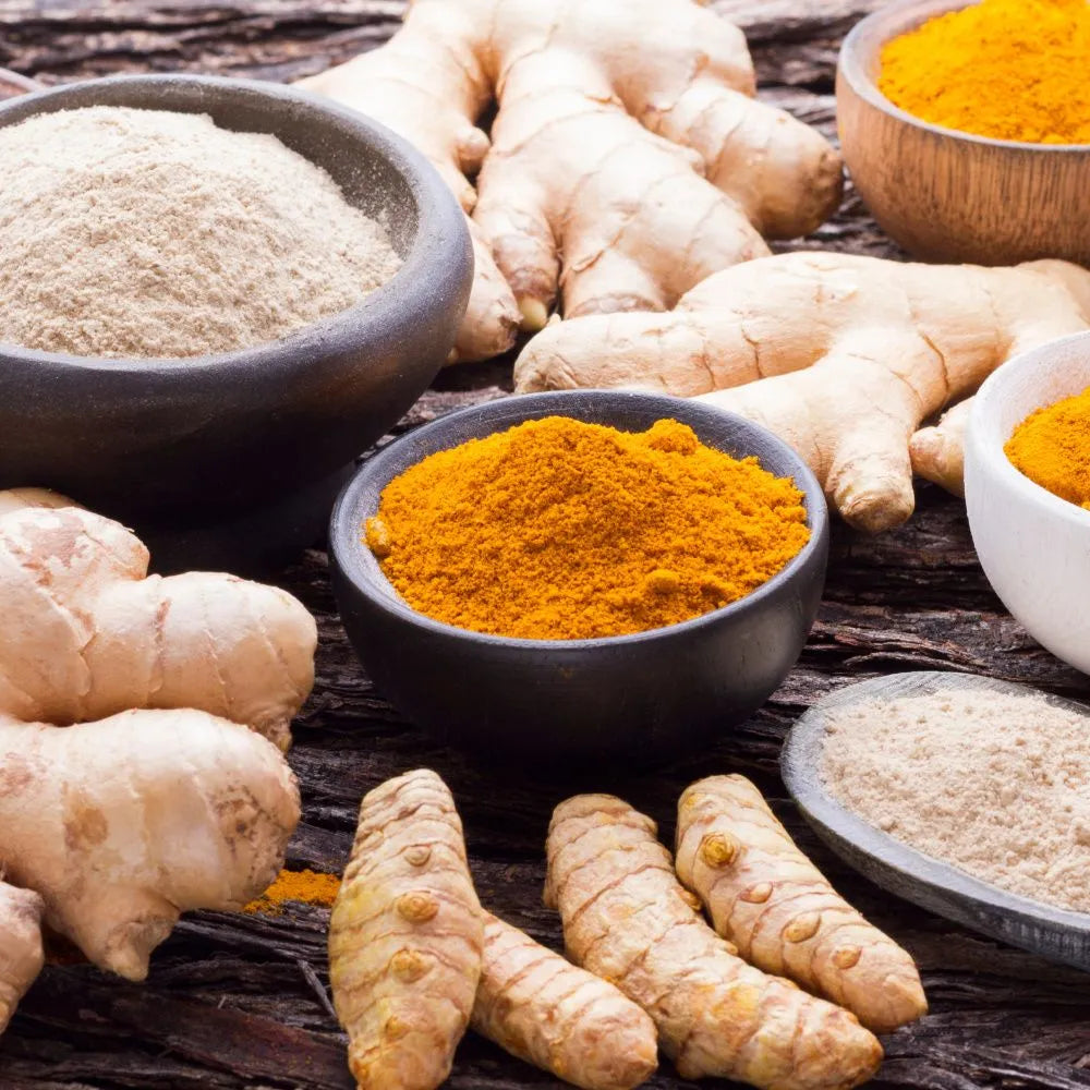 Premier Fermented Turmeric/Ginger